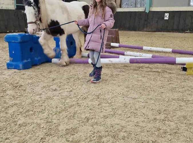 Schoene Kleiner Onkel Auf Idyllischem Reiterhof Nahe Burg Eltz Apartment